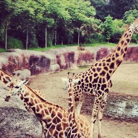 Cosy 26 - Zuid-limburg Simpelveld