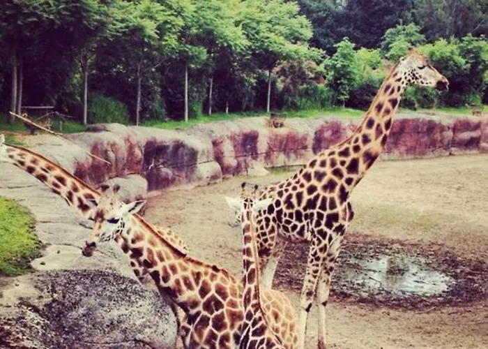 Cosy 26 - Zuid-limburg Simpelveld